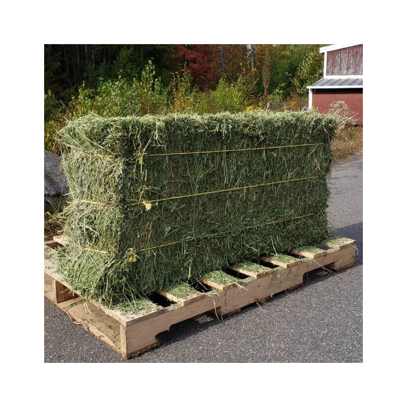 Alfafa Hay Animal Feeding Stuff Alfalfa, hay/alfalfa hay pellets Timothy Hay/ Alfafa in Bales