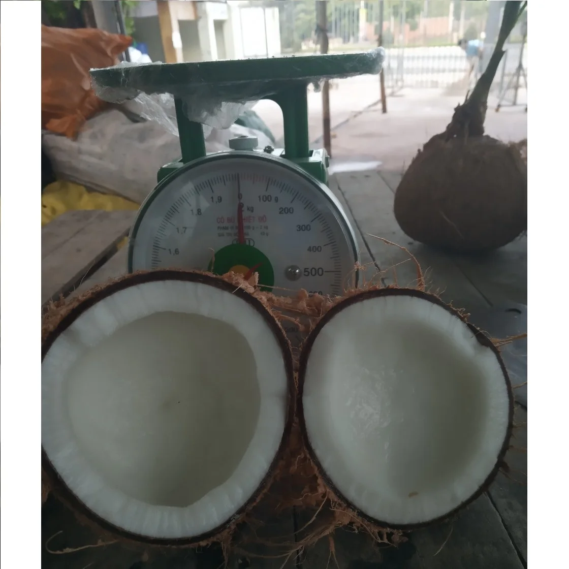Exporter Tropical Fruit/ Semi Husked Mature Coconut/ Matured Coconut From Vietnam  (Whatsapp +84 366 808 683)