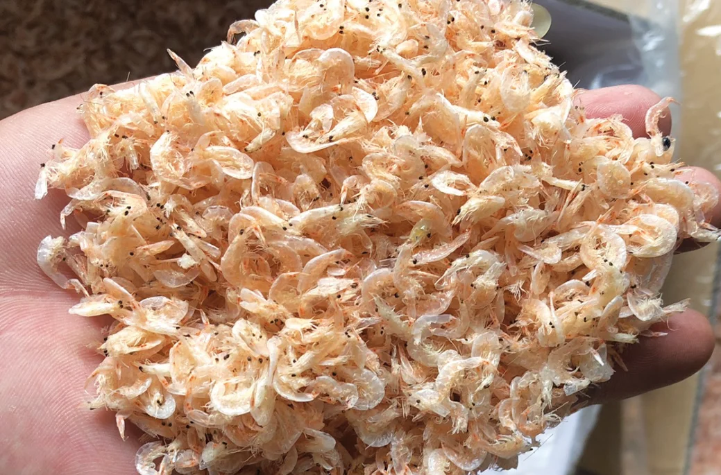 High Quality Dried Baby Shrimp from Vietnam Ready for Export Large Quantities Cooked Frozen Fresh Styles Preserved Brine Process