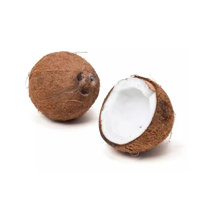 High quality coconut milk powder coconut fruit extract coconut