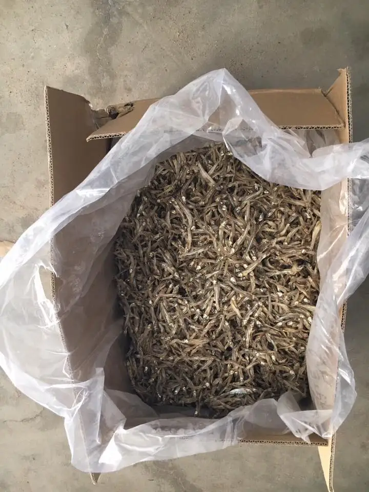 Good Taste Dried Fish Dried Small Anchovy - Natural Sun-dried Fish with good price in bulk quantity Ms Sophie