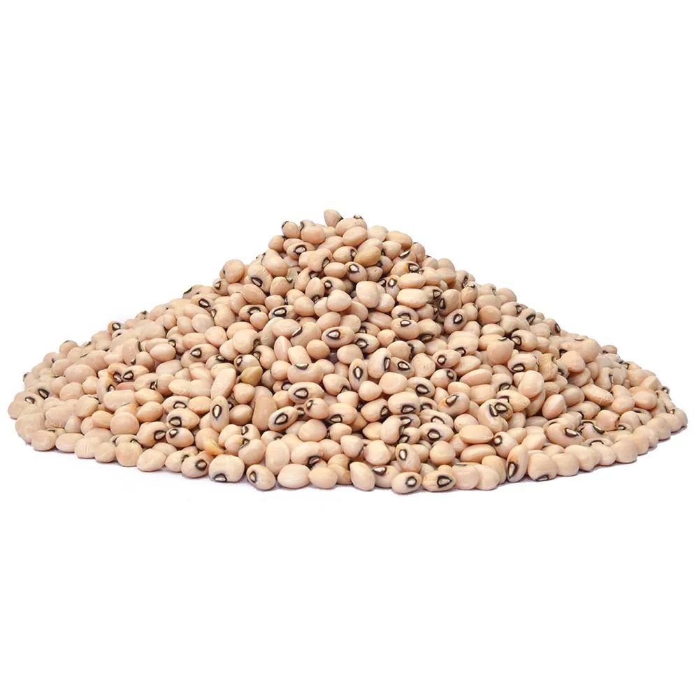 Purchase Dried Black Eyed Peas High Quality Black Eyed Peas for All Your Cooking and Food Preparation Needs