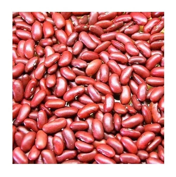 Red Kidney Beans Organic Dried Small Dark Red Kidney Beans Buyer (Rajma)