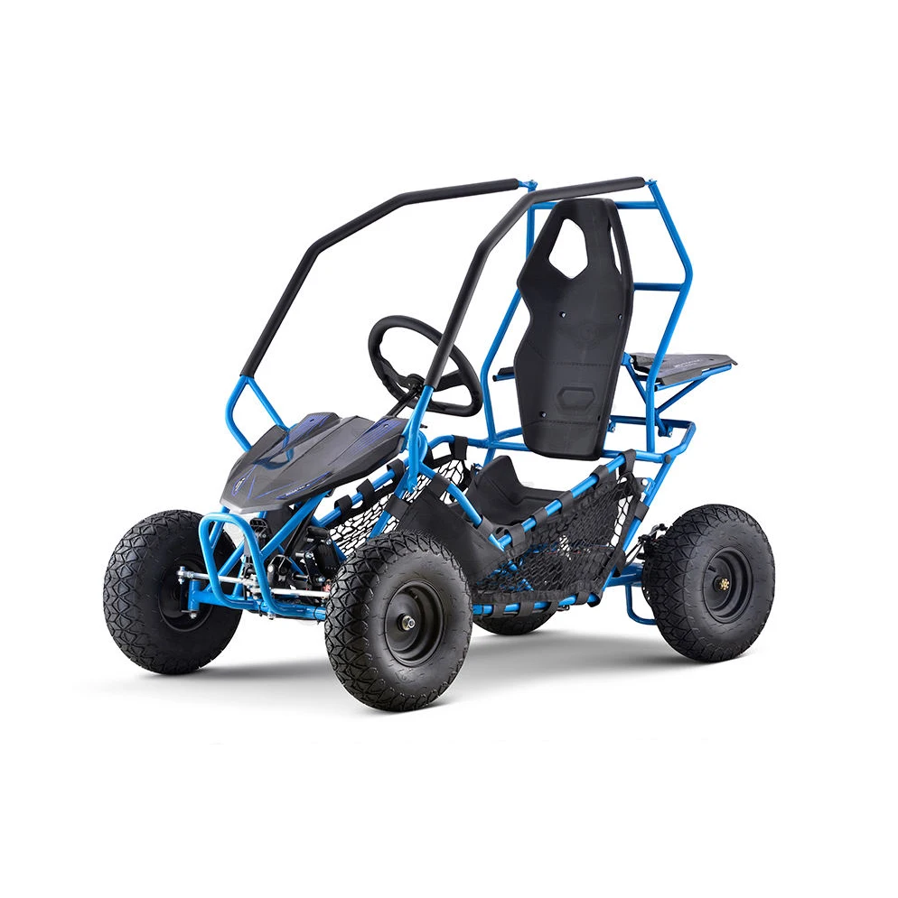 RENLI EPA 200cc 4x2 dune sand buggy atv go kart UTV