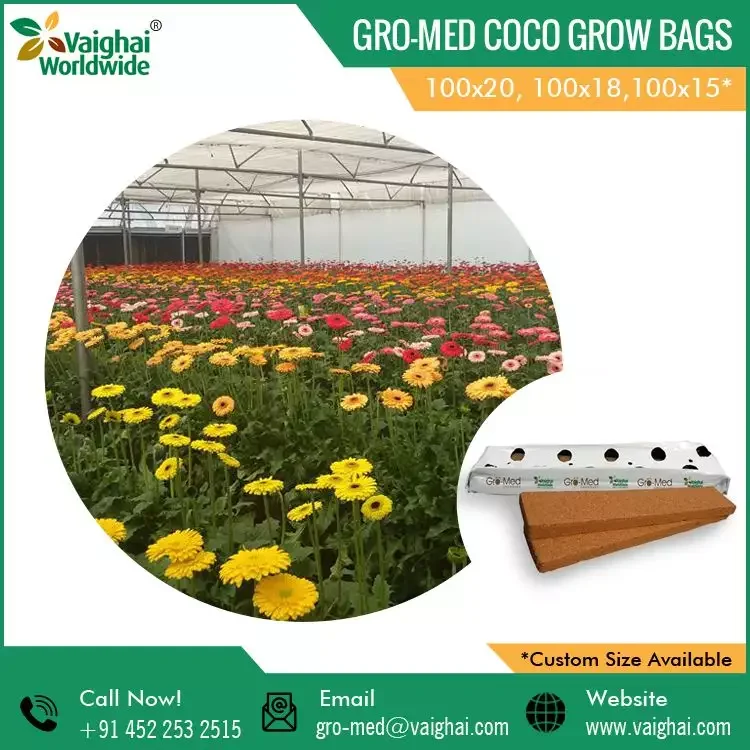 Widely Sell Coir Coco Peat Grow Bags for Wholesale Purchase coco peat block for plant good price from Manufacture