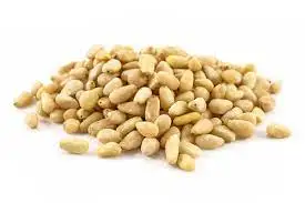 Organic Pine Nut Kernel For Sale