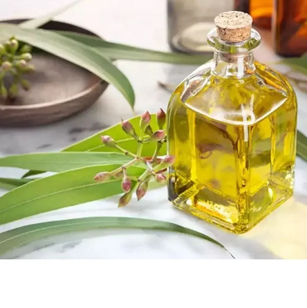 100% Pure Eucalyptus Essential Oil at Wholesale Price  From India