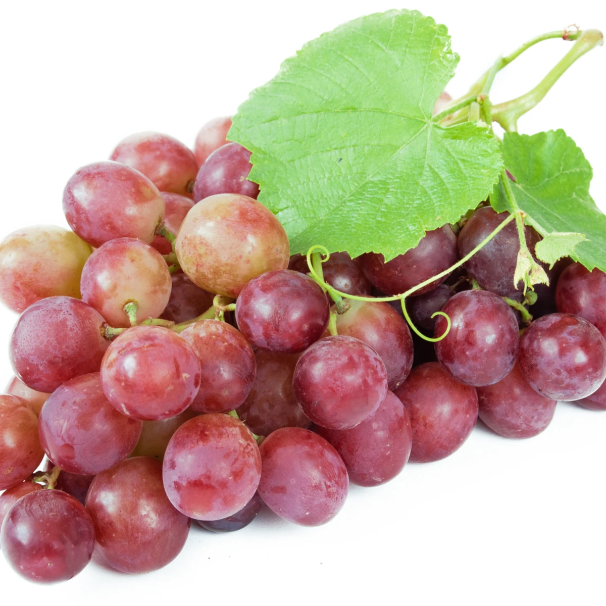 Punnet красный виноград оптовая