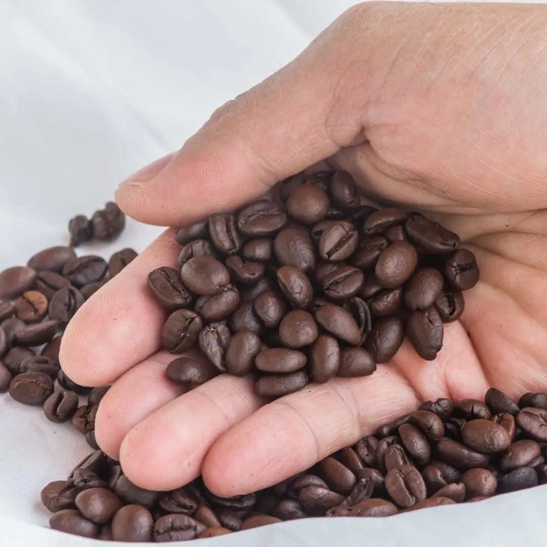 Мягкий мешок жареного кофе в зернах OEM Premium Arabica Coffee Vietnam 0 25 кг высококачественный зеленый 18 напиток премиум класса