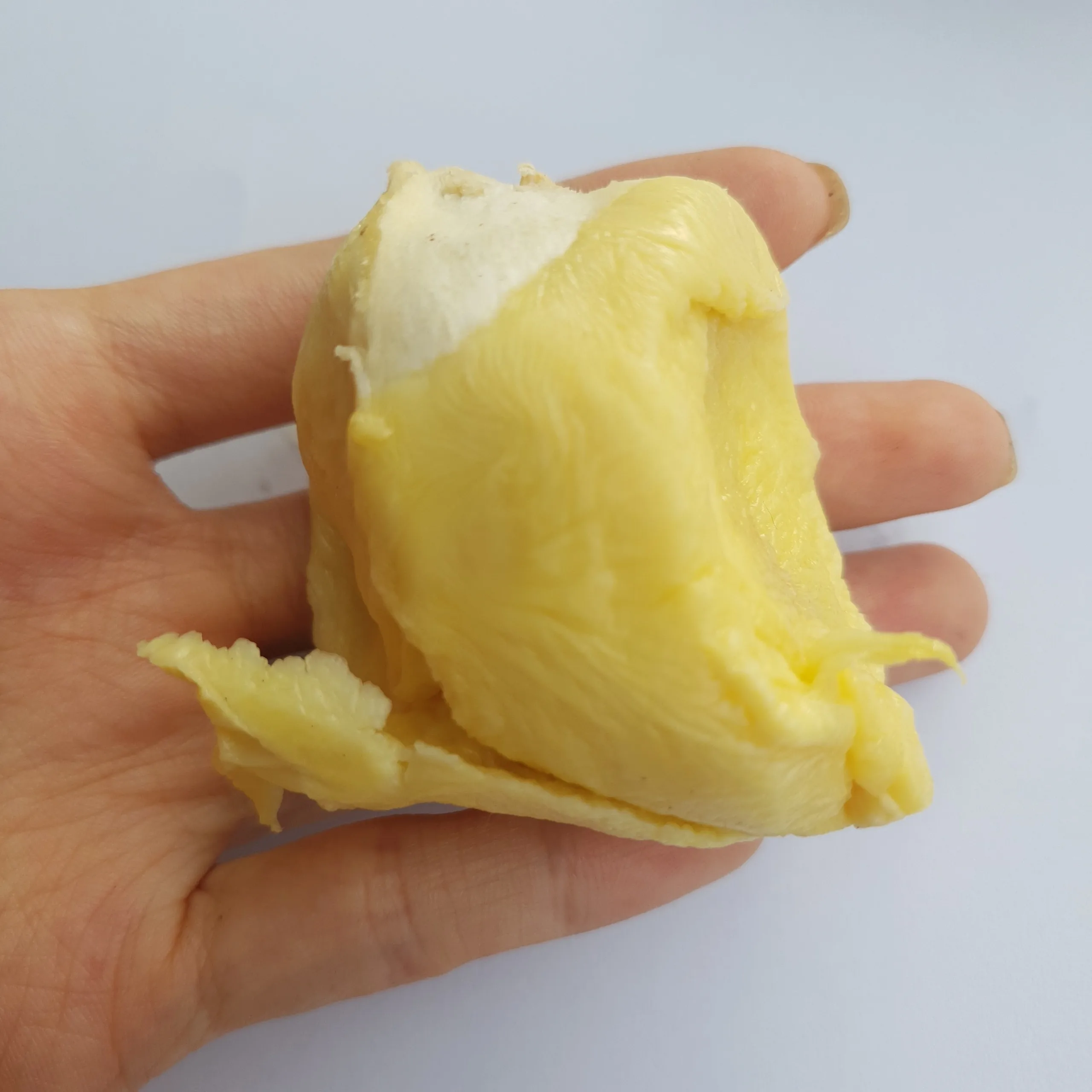 VIETNAM FROZEN DURIAN FLESH / WHOLE - WHATSAPP +84 395690184