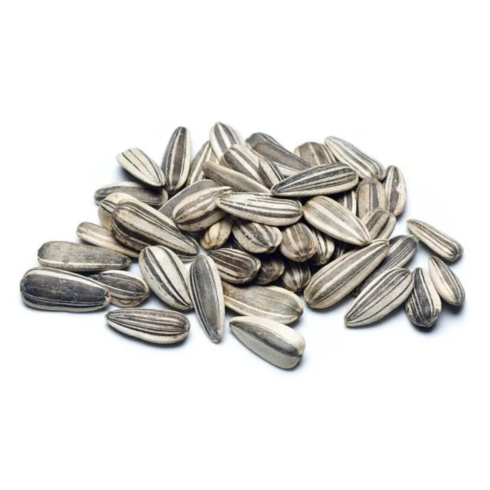 High Quality in Sale Hulled 363 Sunflower Seed High Quality Direct Sale Raw Edible Sunflower Seeds