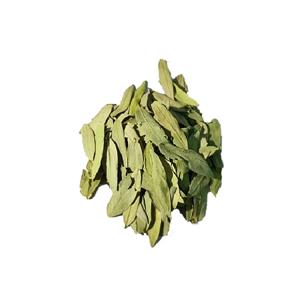 High quality Senna Leaves  Bulk Supply