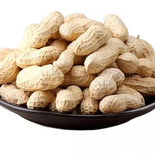 bulk raw peanuts in shell available for sale