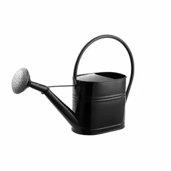 Brass Watering Can Best Quality Brass Metal New Design Custom Shape Watering Can For Home Garden Daily Usage