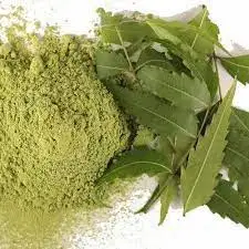 Wholesale Azadirachta Indica Natural Azadirachta Indica Powder/Azadirachta indica extract powder Azadirachtin 40%
