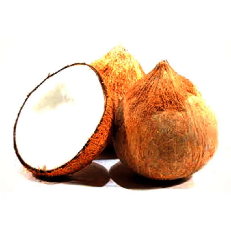 NEW ARRIVAL !!Semi-Husked Fresh mature coconut in bag Fresh newly harvested made in Viet Nam Fresh Coconut Natural Sweet Coconut
