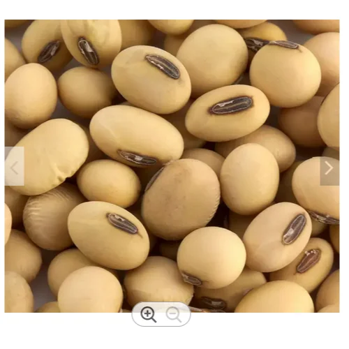 Best Quality Custom Made Wholesale Hot Selling Soybeans High Cost Performance Food Grade Non-GMO