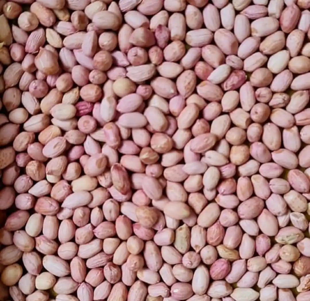 Top quality New crop Bold Peanut 40/50 50/60 70/80 for export best quality and customize packaging