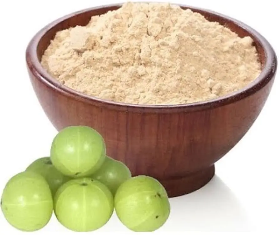 Rich in Iron & Vitamin C Top Quality Amla Powder Whole Sale Suppliers and Manufacturers from South India with Customized Packing