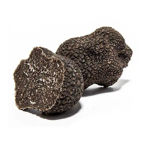 melanosporum_grande.jpg