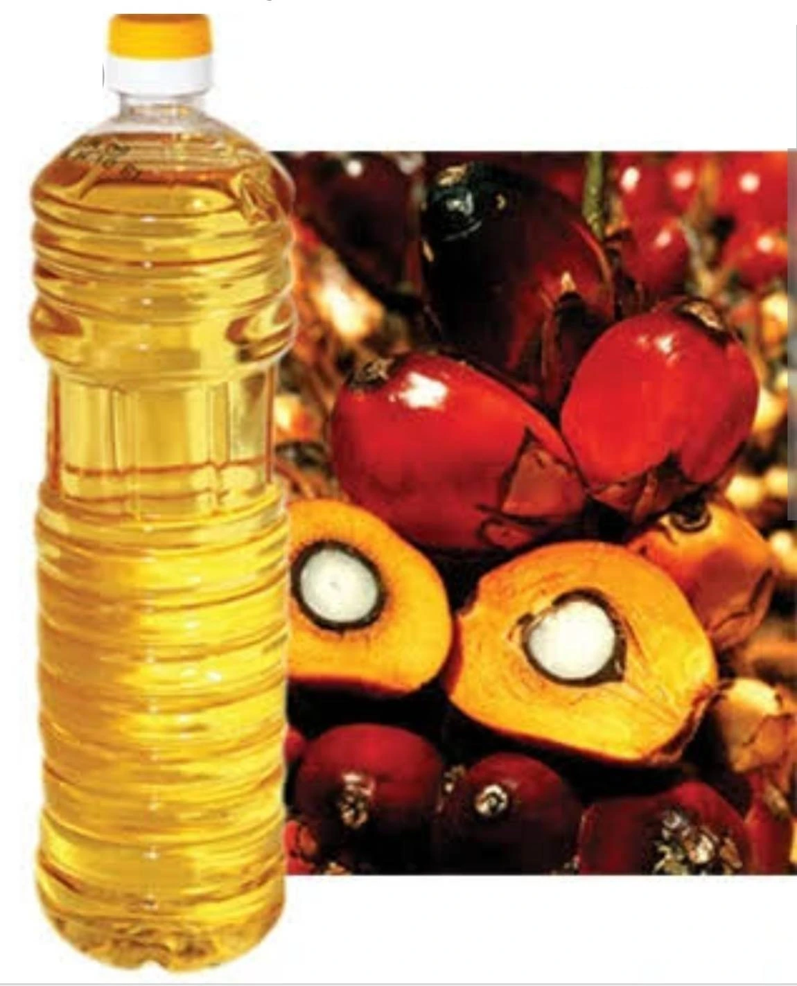 PALM OLEIN CP 8 FROM MALAYSIA VEGETABLE COOKING OIL MALAYSIA PALM OIL