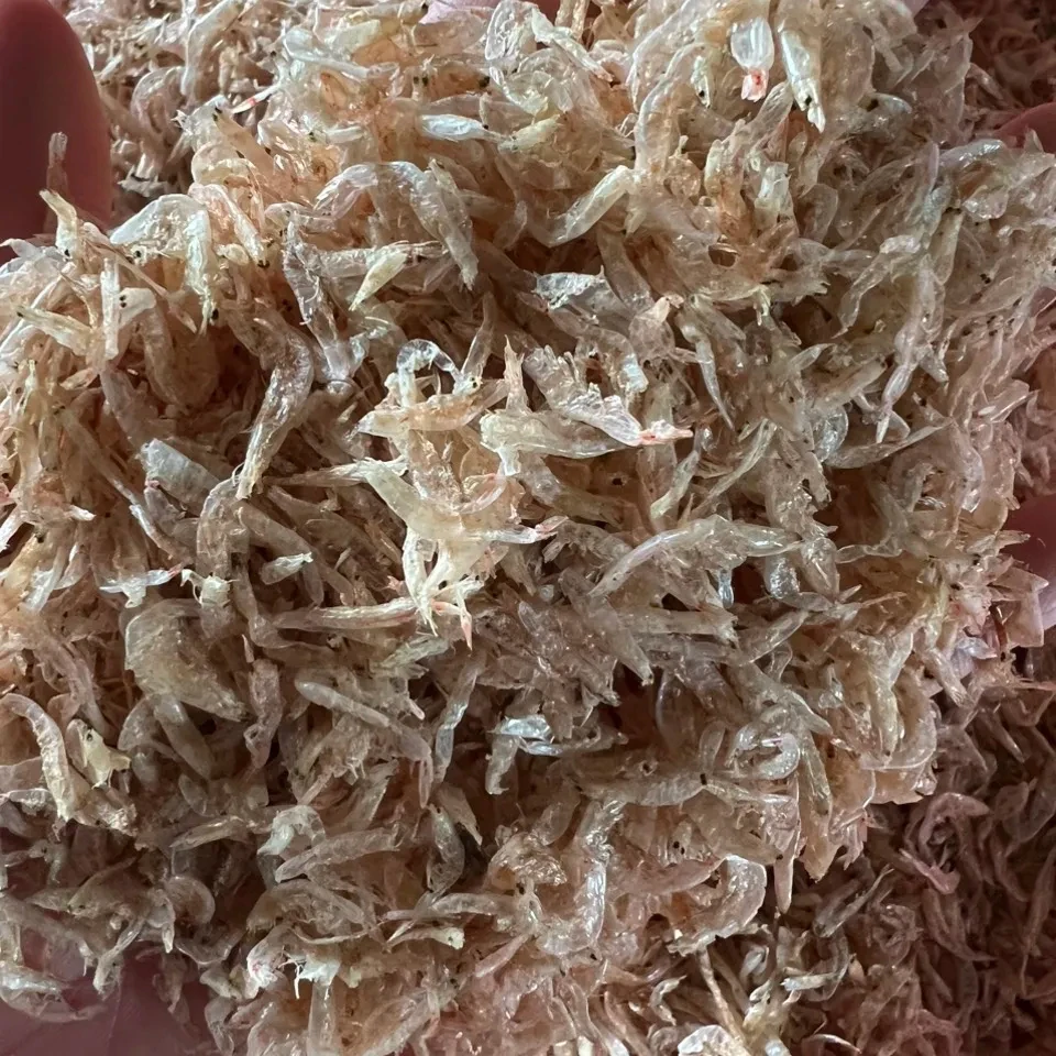 Dried Baby Shrimp From Vietnam Factory Size 2-3cm No Boil With High Quality And Low MOQ