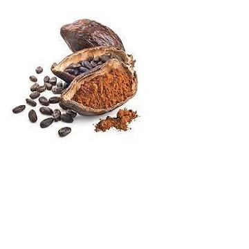 Good Quality Dried Cocoa Beans for sale