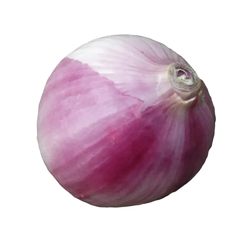 Wholesale Fresh oignons Shallot Peeled Onion Red Yellow White Organic Onion