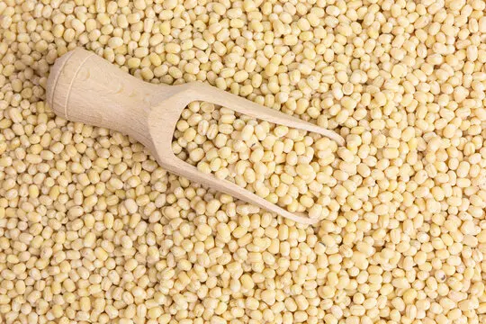 Indian Grade Urad Dhal Whole Top Selling Natural Organic Urad Dhal Whole Manufacturer From India