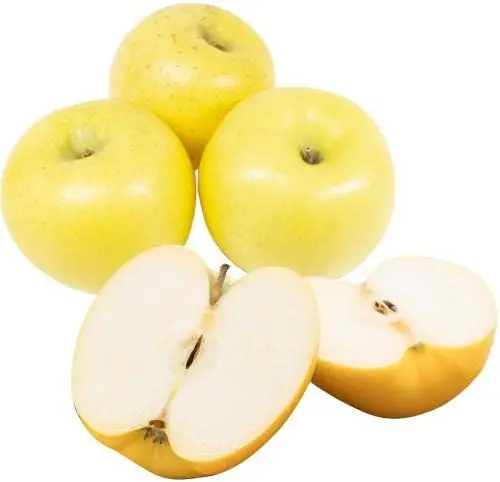 Refreshing and Tasty Apple Shinano Gold