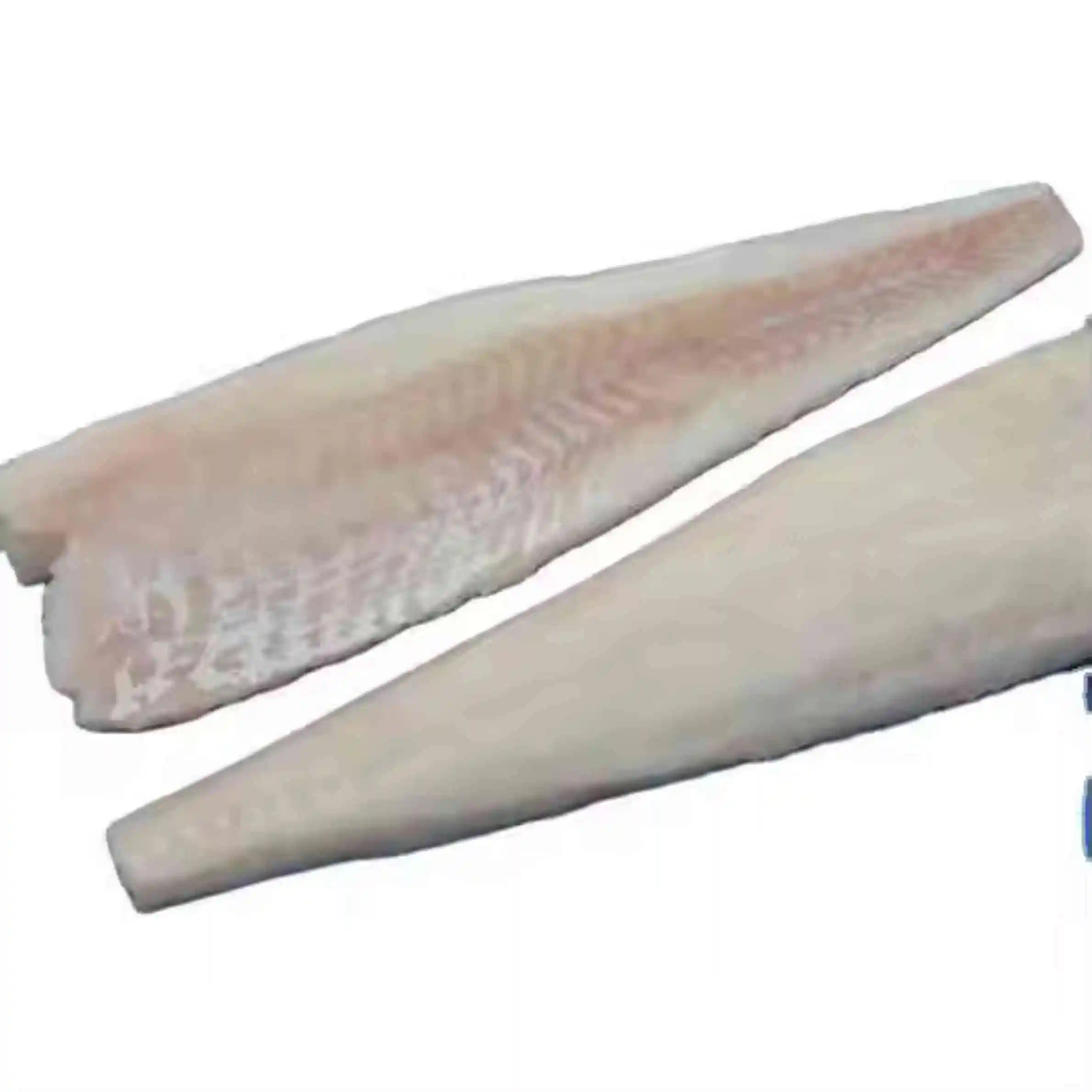 High Grade Dried Stock Fish Dried Stockfish/premium grade cod Stock Fish from Norway/Whole Sale Quality Stockfish