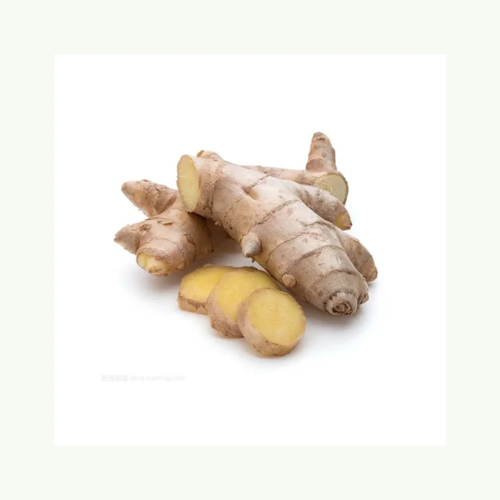 WHOLESALES HIGH QUALITY FRESH GINGER