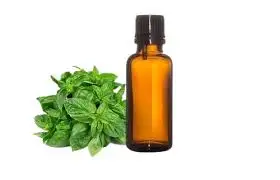 Wholesale Supplier Basil Essential Oil Pure Aroma Cosmetic Grade Basil Oils