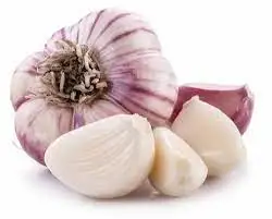 100% Organic High Quality Dried Garlic Fresh Style Peeled Solo Garlic for Food Use