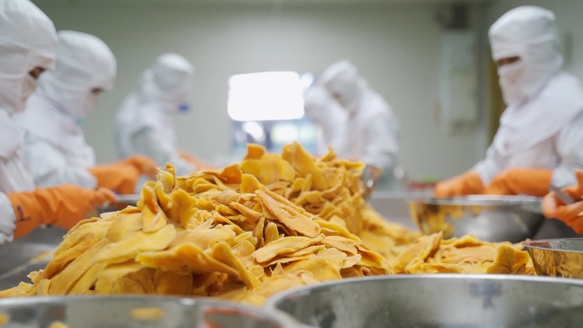 Wholesaler Dried mango package in bulk 20 kg box