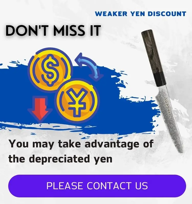 Gyuto 9.5inch SG2/damascus steel knife , High Quality Japanese Style chef meat knife