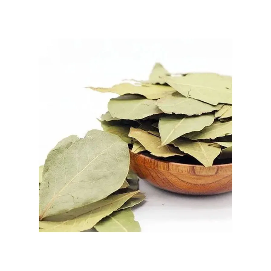 Wholesale export spices bay leafs bulk dried condiment bay leaves