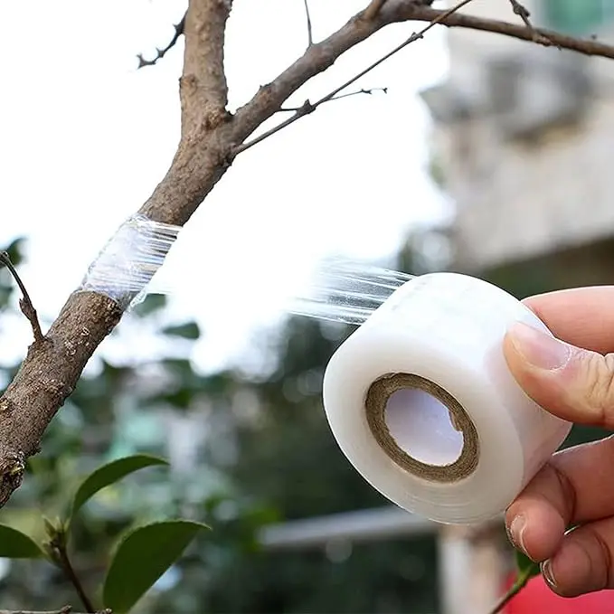 PE grafting film tree plant grafting wrapping film transparent stretch grafting tape film
