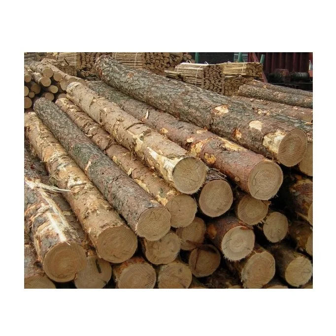 Экспортные Сосновые Бревна-окорка и сортировка для мебели, включая сандаловое дерево из Тикового дуба и Эвкалиптовое дерево