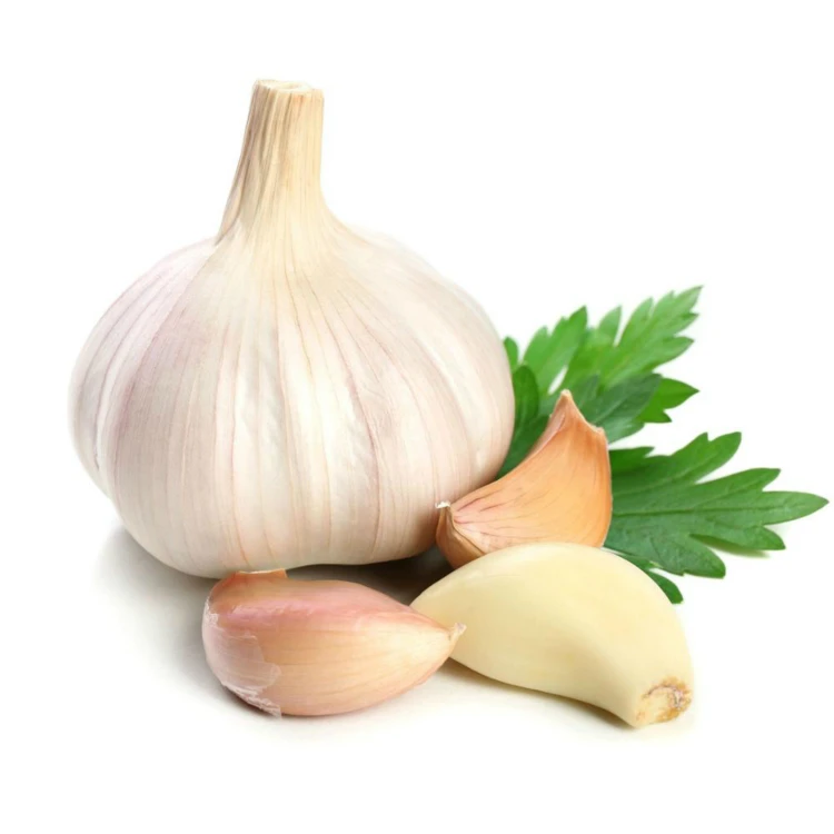 High Quality Fresh Pure White Garlic New Crop Snow White Garlic For Sale
