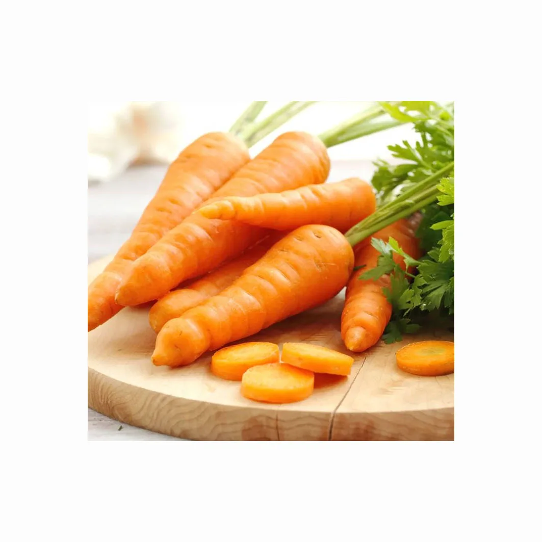Fresh Carrot / Clean Carrot in Carton / Carrot wholesaler Price