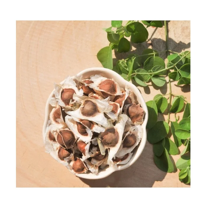 Wholesale Moringa Seeds Bulk Moringa Seeds Moringa Tree Seeds
