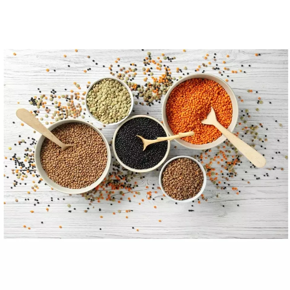 Wholesale Supplier Lentils For Sale In Reasonable Price