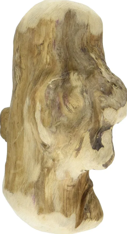 Hot Promotion Java Dog Chew Big Sale Save Big 2024