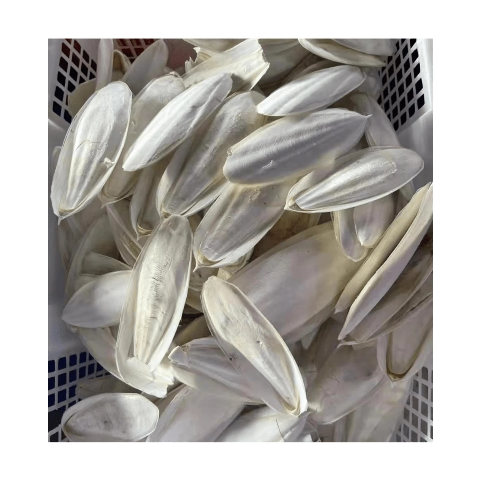 Hot Deal Pet Food Dried Cuttlefish Bone Cuttlebone Holder Bird Toy With High Quality Bleached White Trimmed Or Raw Best Price