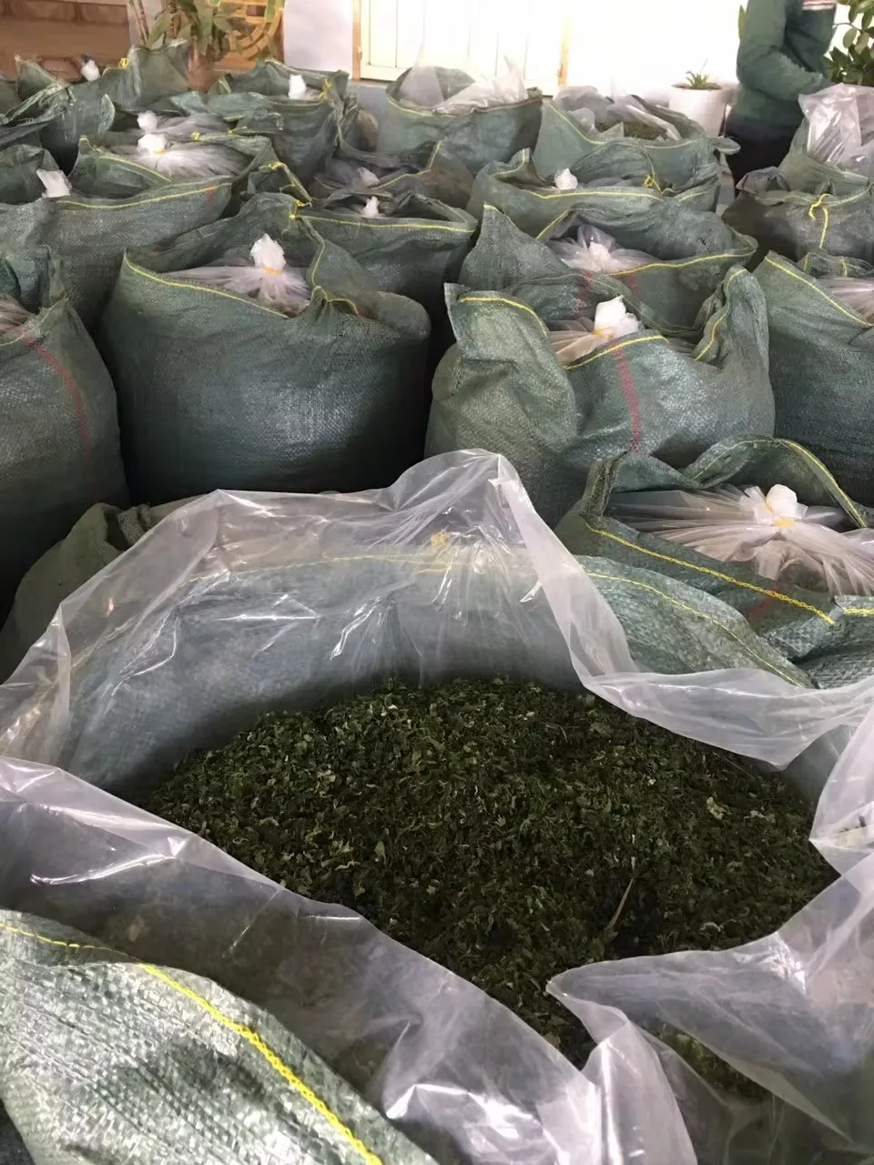 Dried Ulva Lactuca/ Green Seaweed/ Sea Lettuce Seaweed sea moss natural green color good price  premium quality from Vietnam