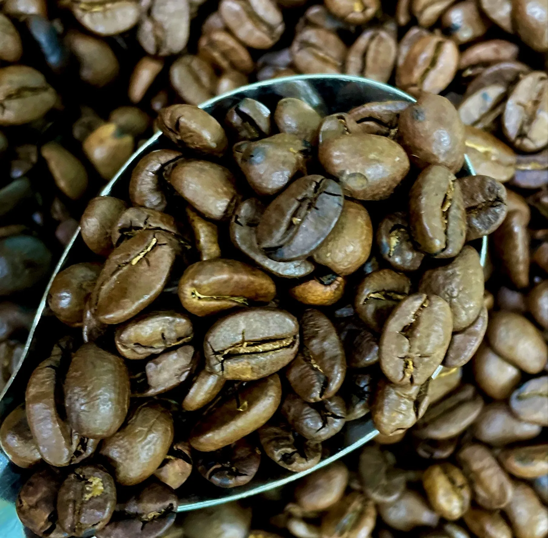 Arabica Coffee Roasted Good Price Export Food High Protein Vaccum Bag Made In Vietnam Trading