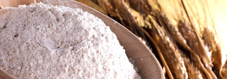 Great Quality White Color Flour Wheat Vital Wheat Gluten Flour With Low Price With Customize Packing