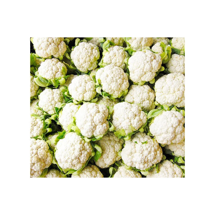 Low Cost Premium Wholesale Agriculture Product Fresh Cauliflower Fresh Food Cheap Price Organic Cultivation type For Export