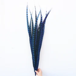 Wholesale Pheasant Feathers  70 cm  Lady Amherst Pheasant Feathers For Sale